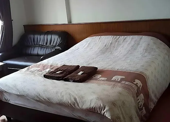 Orchid Hotel 2*